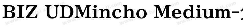 BIZ UDMincho Medium字体转换